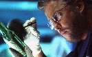 CSI: Den Tätern auf der Spur | TV-Programm von VOX