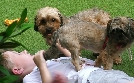 Dog House - Hundevermittlung mit Herz | TV-Programm von TLC