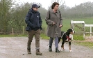 Der Hundeprofi - Rütters Team | TV-Programm von VOX