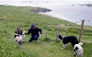 Irischer Kompass | TV-Programm von arte