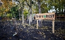 Schnittgut. Alles aus dem Garten | TV-Programm von BR