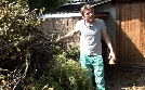 Von Hecke zu Hecke - Bunte Beetgeschichten | TV-Programm von RTLZWEI