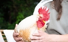 Tiere suchen ein Zuhause | TV-Programm von WDR