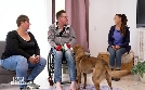 Der Hundeprofi - Rütters Team | TV-Programm von VOX
