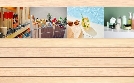 Der SAT.1 Check | TV-Programm von SAT.1