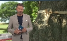 SWR Aktuell Rheinland-Pfalz | TV-Programm von SWR
