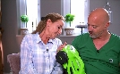 Hot oder Schrott - Die Allestester | TV-Programm von VOX