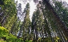 Das Trentino - Naturparadies in Norditalien | TV-Programm von arte