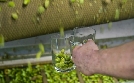 Das große Brauen - Deutschland und seine Biere | TV-Programm von N24 Doku