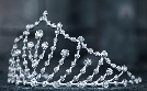 Toddlers and Tiaras | TV-Programm von RiC