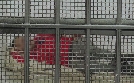 Border Patrol Südamerika | TV-Programm von WELT