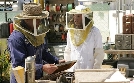 CSI: Den Tätern auf der Spur | TV-Programm von VOX