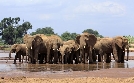 Kenia - Dem Regen hinterher | TV-Programm von arte