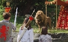 Die Chroniken von Narnia - Der König von Narnia | TV-Programm von Disney Channel