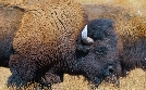 Phänomenale Natur | TV-Programm von arte