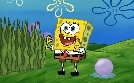 SpongeBob Schwammkopf | TV-Programm von Nickelodeon