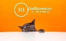 111 Vollkommen verrückte Viecher! | TV-Programm von SAT.1