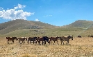 Der Apennin - Italiens Naturparadies | TV-Programm von SWR