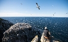 Ein Jahr in Kanadas Wildnis | TV-Programm von phoenix