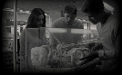 Hüter der Erinnerung - The Giver | TV-Programm von SAT.1