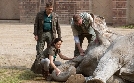 Tierärztin Dr. Mertens | TV-Programm von ONE HD