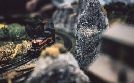 Die Modelleisenbahner - Das Miniatur Wunderland | TV-Programm von N24 Doku