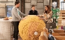 iCarly | TV-Programm von Nickelodeon