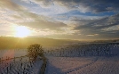 Hopfengärten und wilde Natur - Die Hallertau | TV-Programm von arte