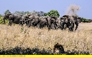 Naturwunder Okawango | TV-Programm von 3sat
