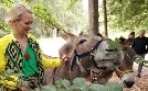 Expedition in die Heimat | TV-Programm von ARD alpha HD