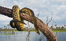 Wildes Argentinien | TV-Programm von arte