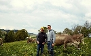 Attraktion Allgäu - Seele des Südens | TV-Programm von 3sat