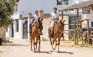 Die wilden Pferde der Doñana | TV-Programm von arte