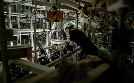 die nordstory | TV-Programm von tagesschau24