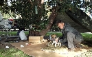SOKO Wien | TV-Programm von ZDF
