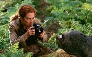 Vergessene Welt: Jurassic Park | TV-Programm von VOX