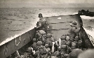 Terra X-History: D-Day 1944 | TV-Programm von phoenix
