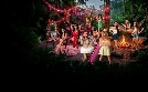 Dschungel Divas - Luxus hat seinen Preis | TV-Programm von SAT.1
