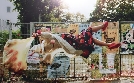 Sweet Disaster | TV-Programm von arte