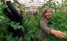 die nordstory | TV-Programm von NDR