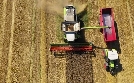 Die Nordreportage | TV-Programm von NDR