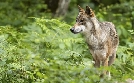 Gut zu wissen | TV-Programm von ARD alpha HD