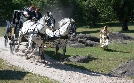 Prinzessin Maleen | TV-Programm von RBB