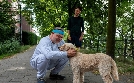 Großstadtrevier | TV-Programm von mdr