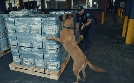 Border Force USA | TV-Programm von N24 Doku
