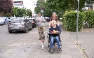 Der Hundeprofi | TV-Programm von VOX