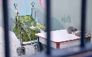 Überleben hinter Gittern | TV-Programm von zdfinfo