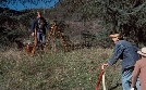 The Waltons | TV-Programm von SAT.1 Gold