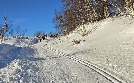 Das Camp in der Wildnis | TV-Programm von WDR