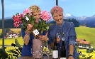 Wir in Bayern | TV-Programm von BR